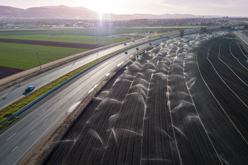 Irrigation agriculture field in california, united states. sprinkler system waters rows