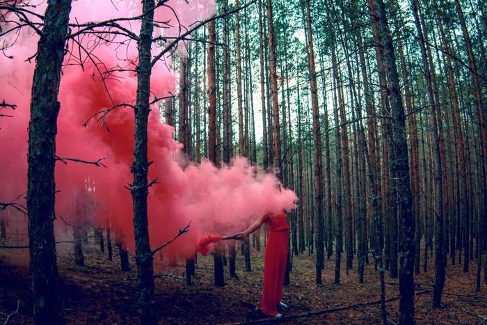 Woman holding distress flare amidst trees in forest