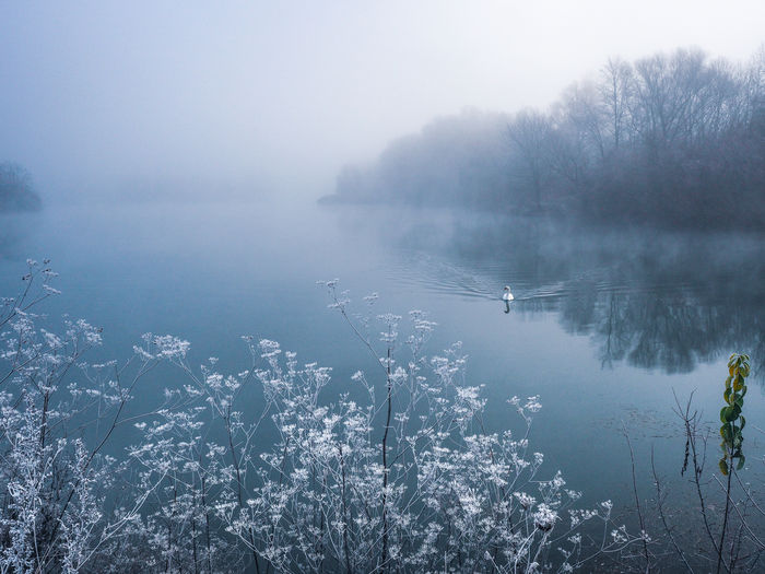 Scenic view of lake against sky during winter