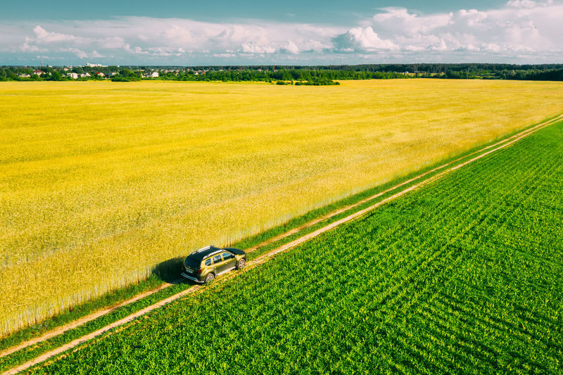 Scenic view of agricultural field against sky