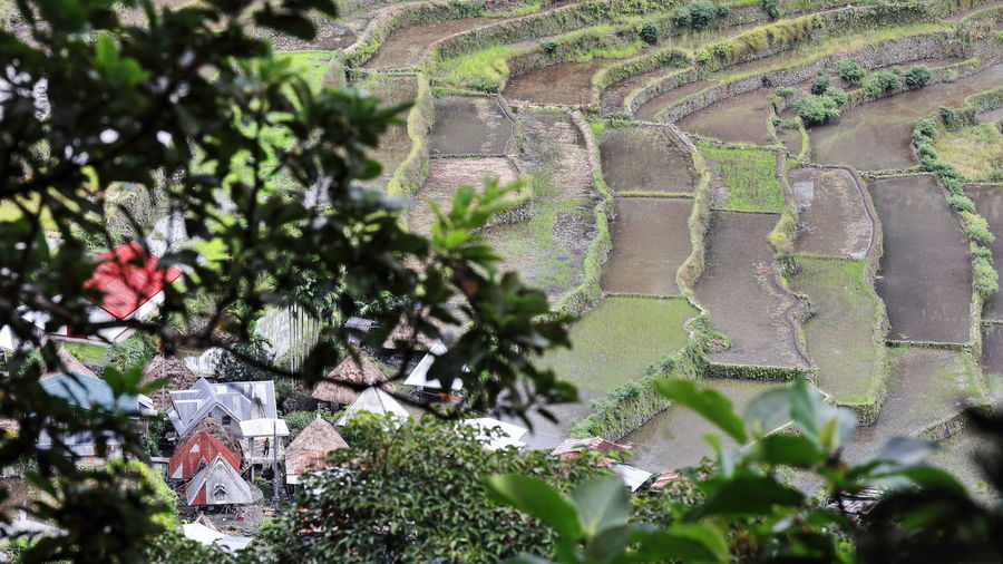 0160 the batad village cluster of the rice terraces of the philippine cordilleras. banaue-luzon-ph