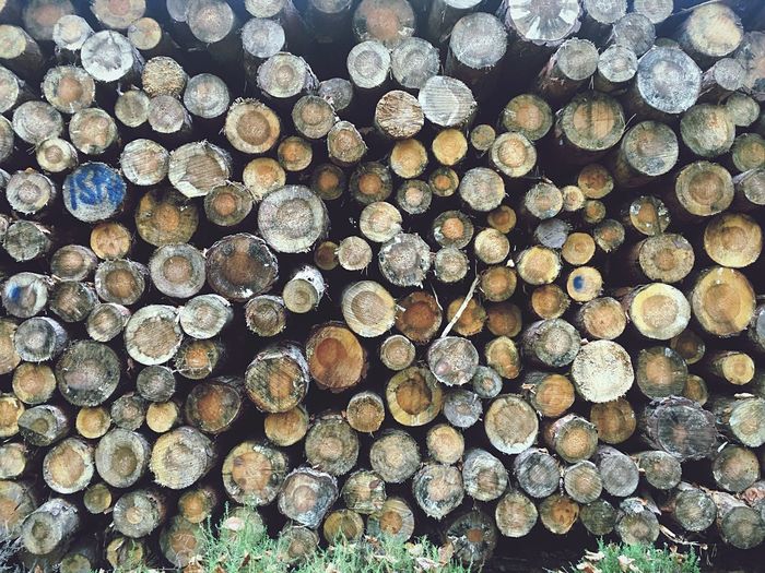 Full frame shot of logs