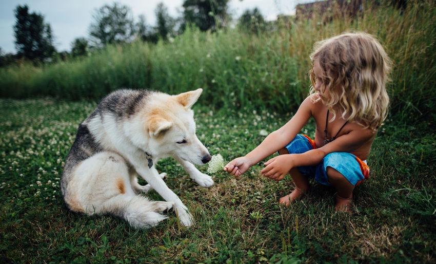 Little boy hands flower to dog to smell