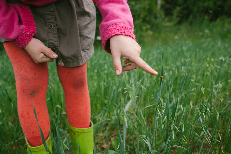 Midsection of girl touching ladybug on plant