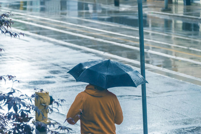 Rear view of man standing on wet rainy day