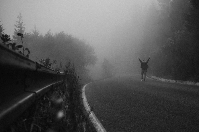 Rear view of person walking on road by trees