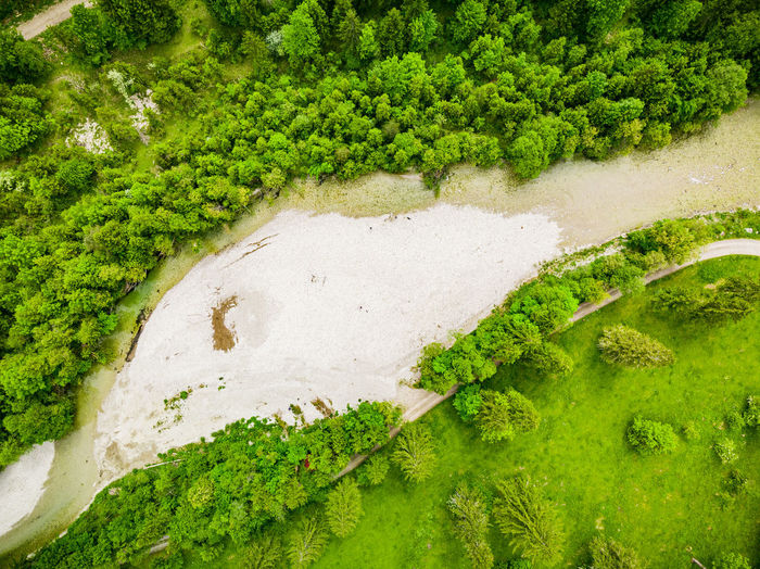 High angle view of plants growing on land
