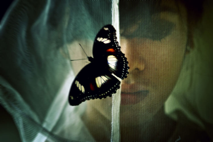 Close-up of woman seen through butterfly on netting 