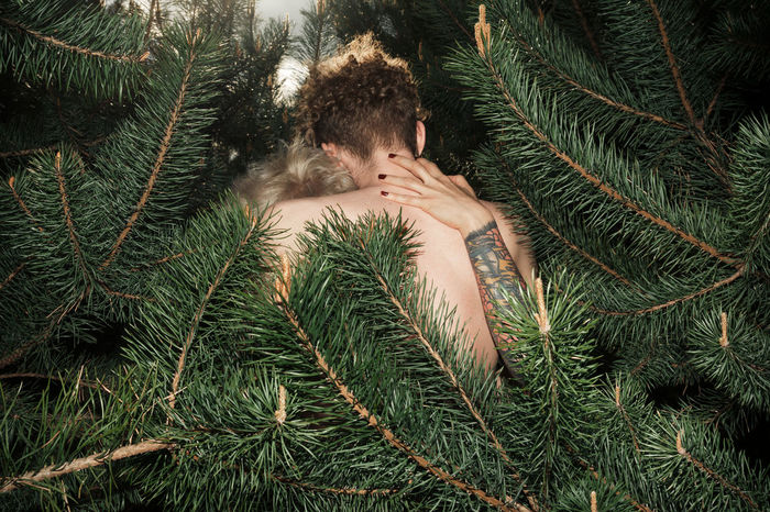 Couple embracing amidst pine trees in forest