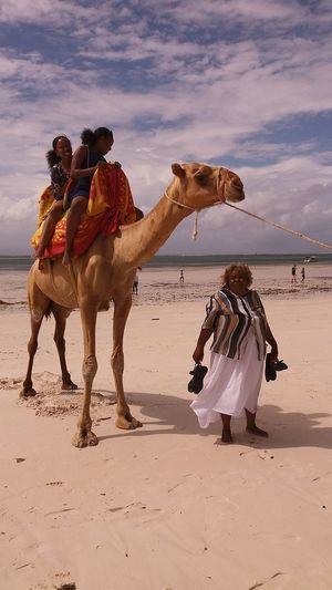 Women with camel at beach against sky