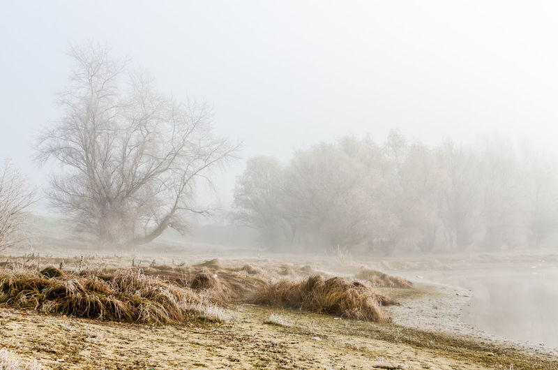 fog