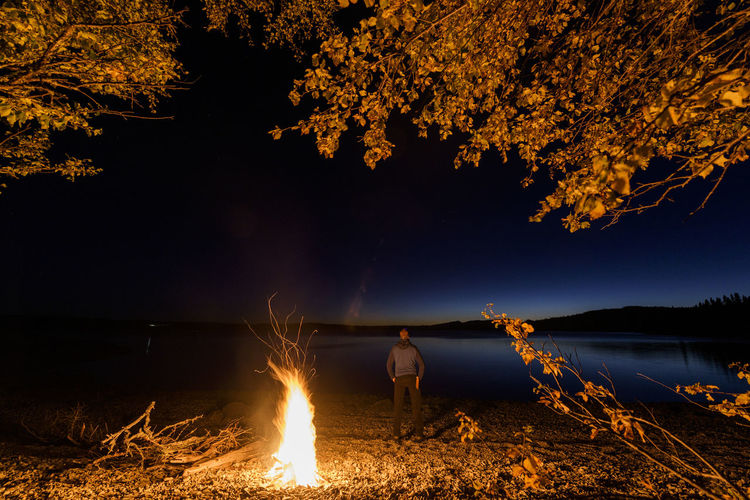 Scenic view of illuminated tree by lake against sky at night