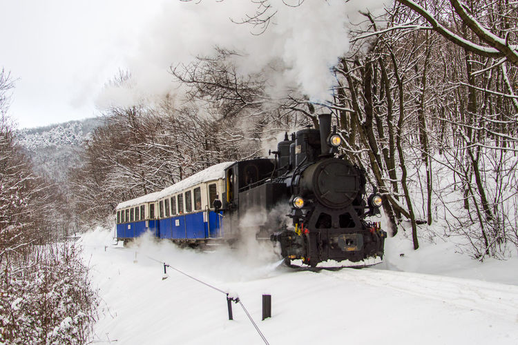 Train on snow covered trees against sky during winter