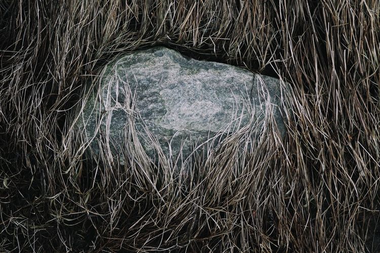 Rock semi covered in dead grass