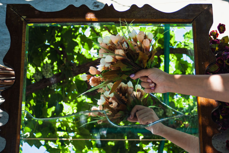 Low section of person holding flowering plants