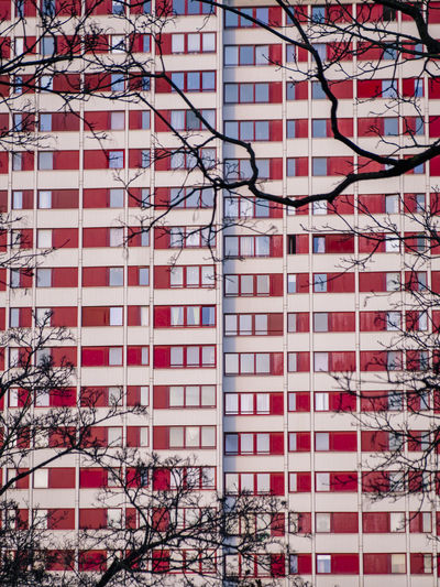 Low angle view of bare tree against building