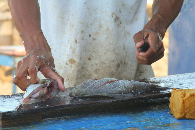 Midsection of man holding fish