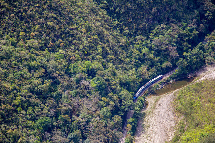 High angle view of train passing road amidst trees in forest