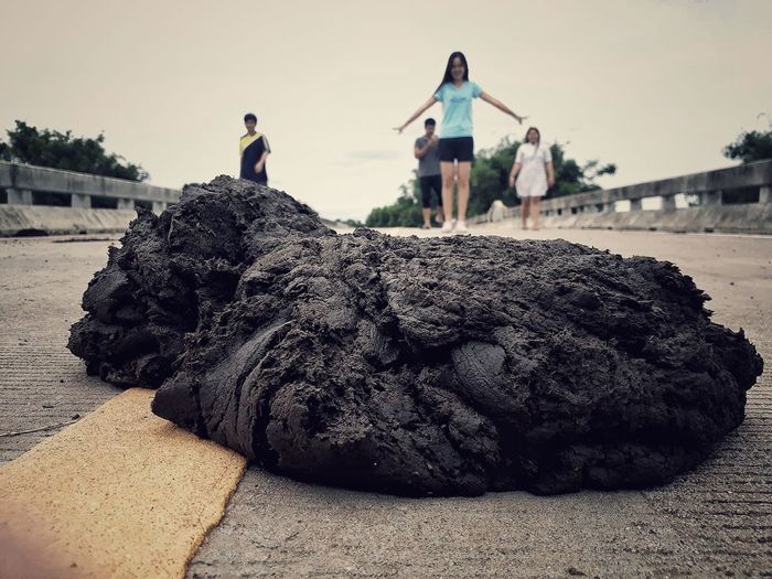 People on footpath with animal dung in foreground