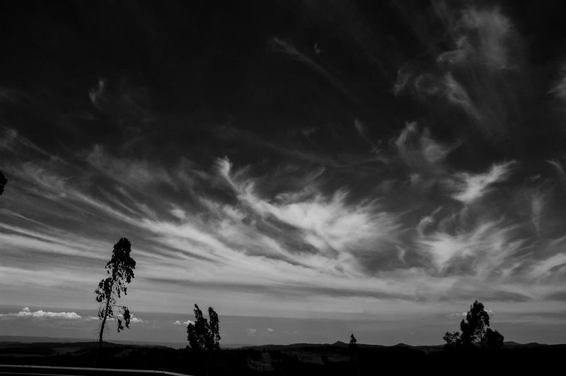 Low angle view of silhouette trees against sky
