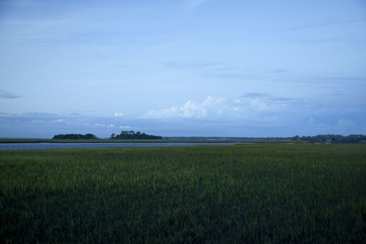 horizon