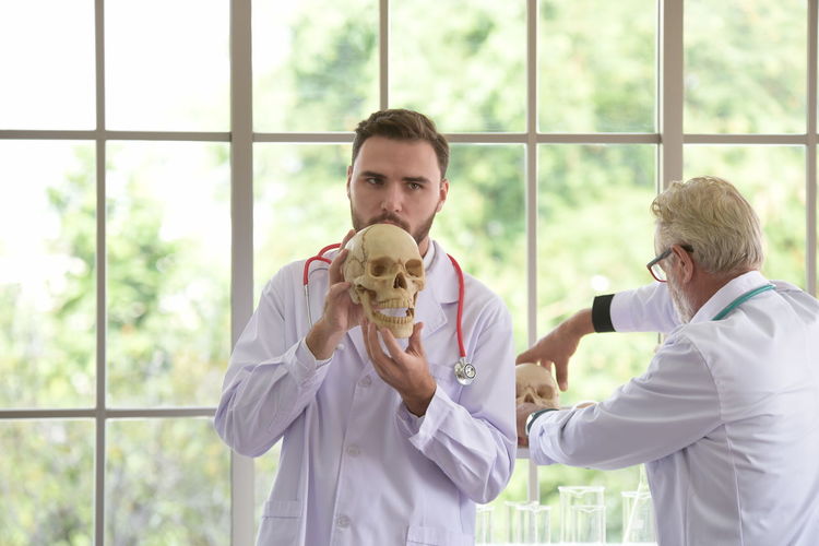 Doctors holding skulls by window in hospital