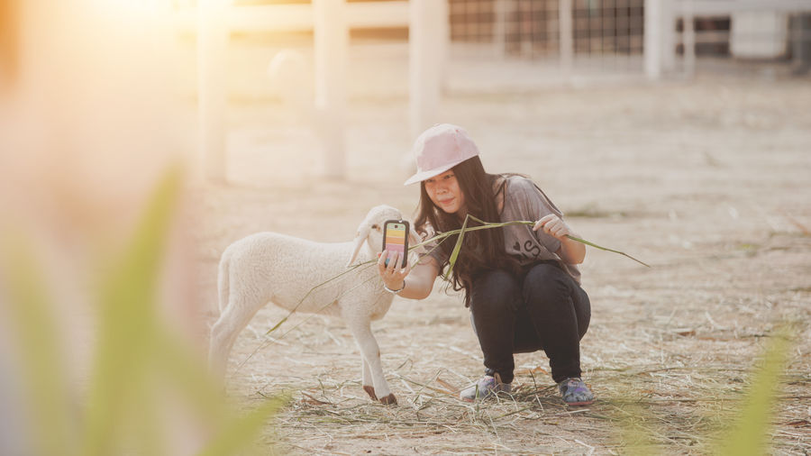 Woman taking selfie with lamb while crouching on field