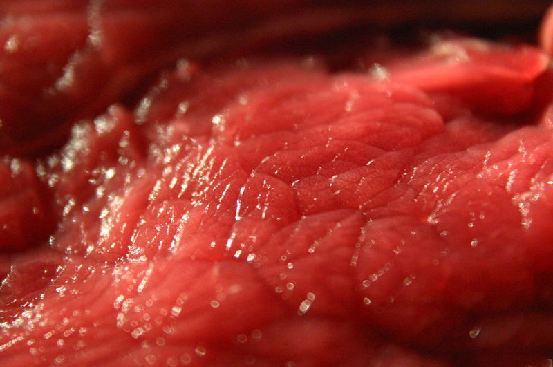 Close up of red leaf
