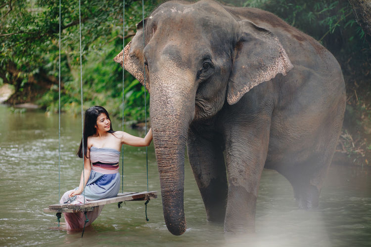 Woman sitting by elephant on swing in river at forest
