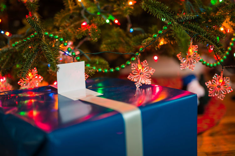 Close-up of gift against christmas tree