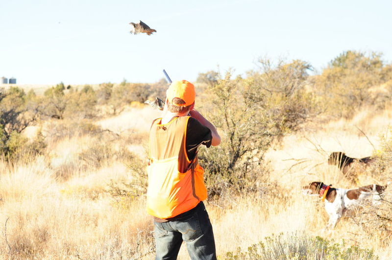 Hunter aiming pheasant flying over grassy field against sky