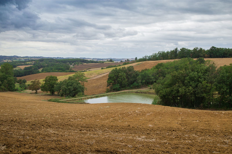 Scenic view of field against sky