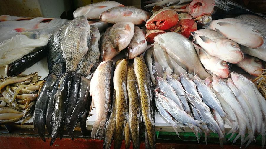 Fish for sale at market stall