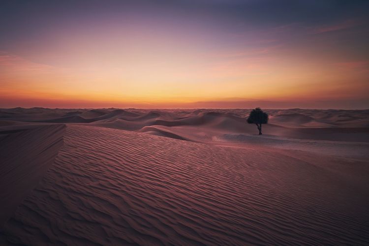 Scenic view of landscape against sky during sunset