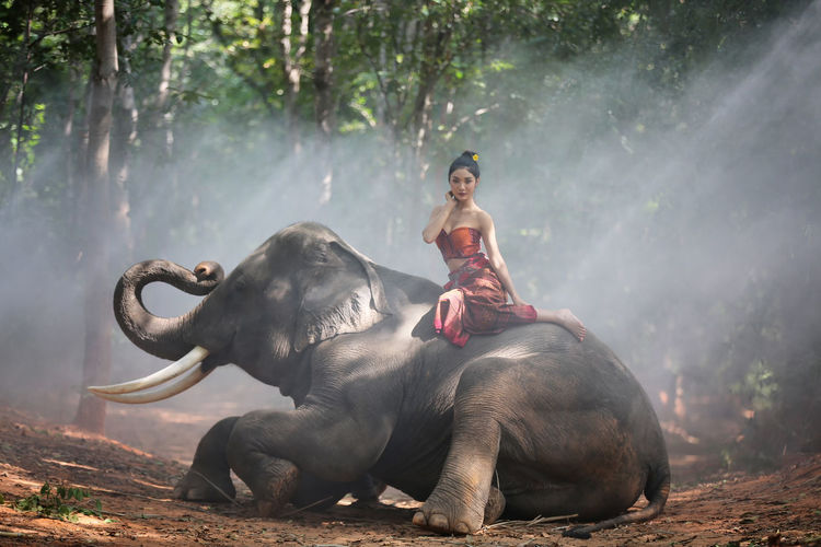 Portrait of young woman sitting on elephant in forest