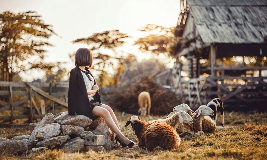 Woman with sheep sitting on rocks