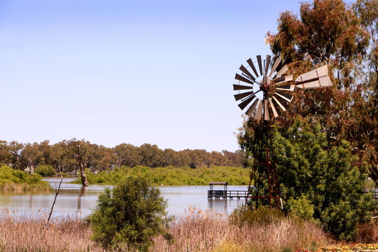 Ferris wheel by lake against clear sky