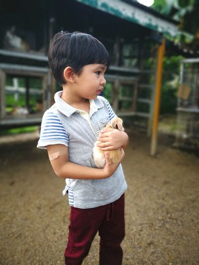 Cute boy holding rabbit on field