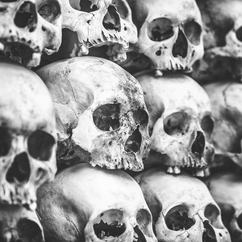 Full frame shot of human skulls