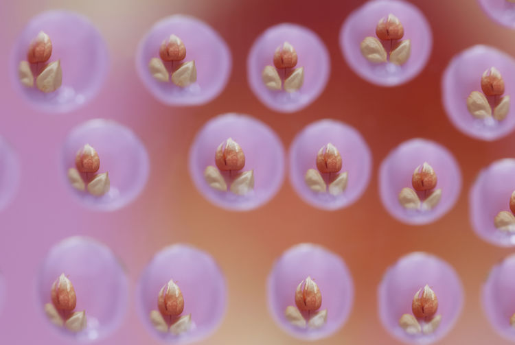 Full frame shot of pills