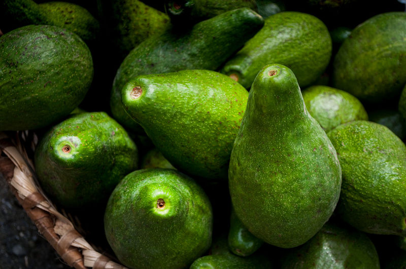 Full frame shot of a bunch of artisanal and organic avocado harvest in south america