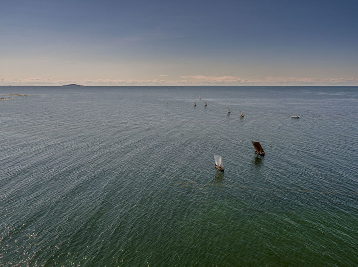 View of birds swimming in sea against sky