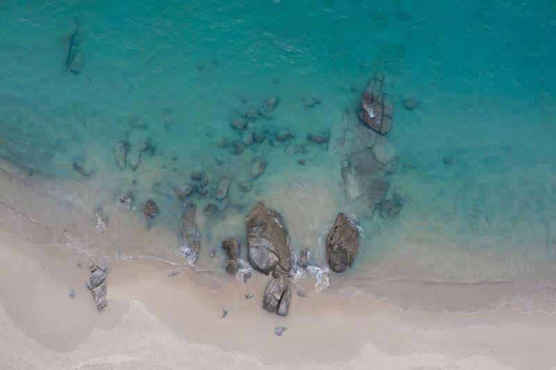 High angle view of fishes swimming in sea