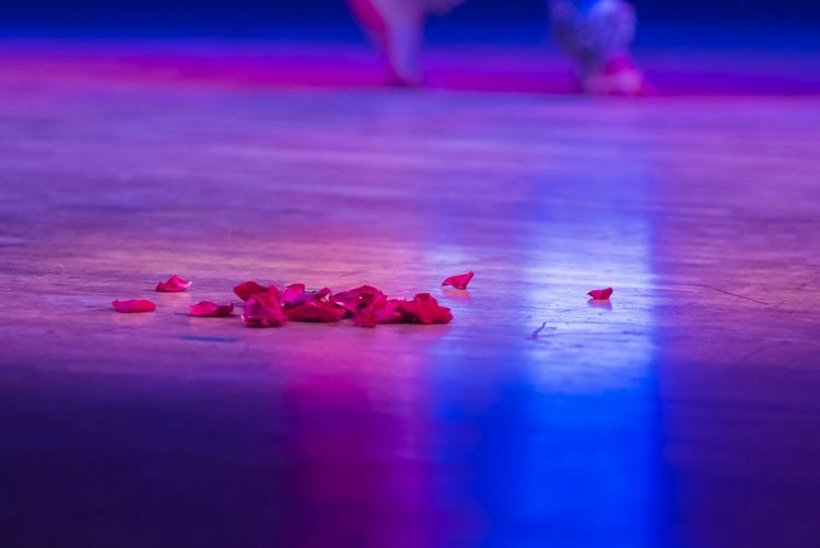 Petals on stage floor