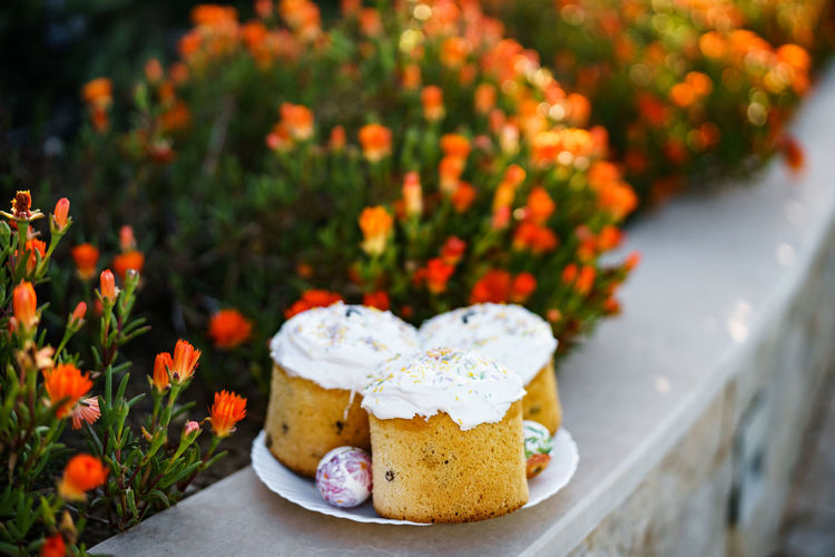 Close-up of fresh white flowers in plate