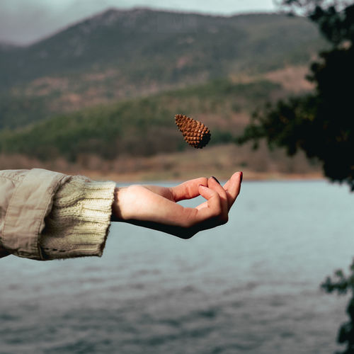 Close-up of woman hand throwing pine cone mid-air by lake