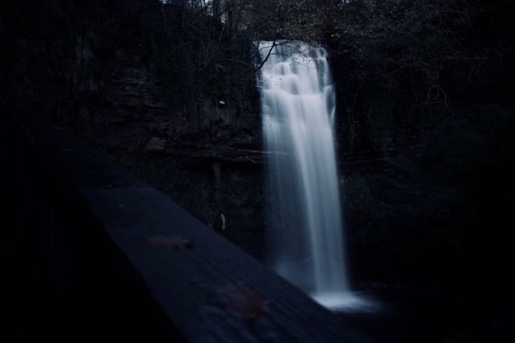 Scenic view of waterfall in forest