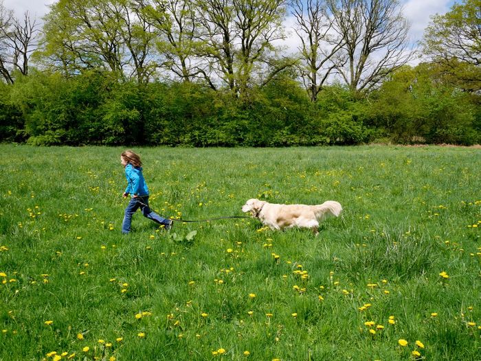 Girl with dog on grassland