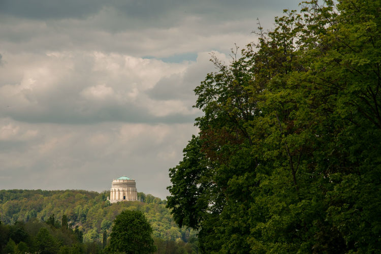 Low angle view of trees and plants against sky