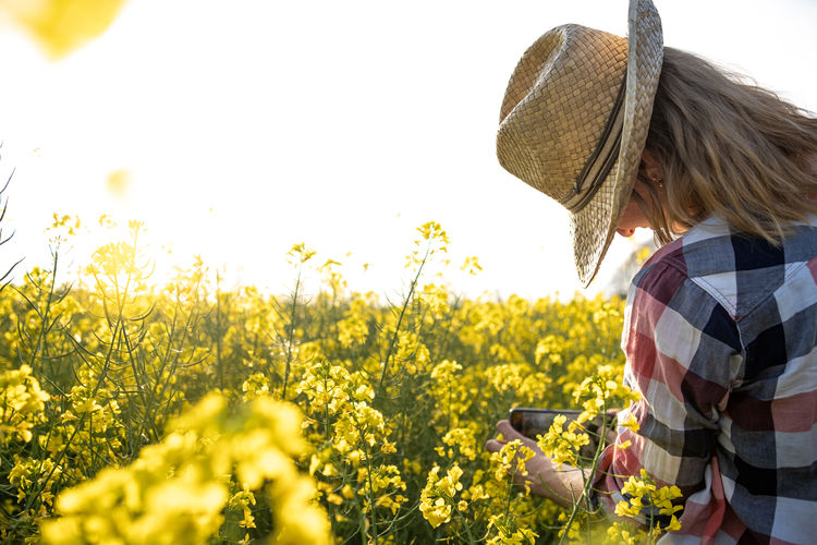 Back view of a girl taking a picture of a rapeseed field